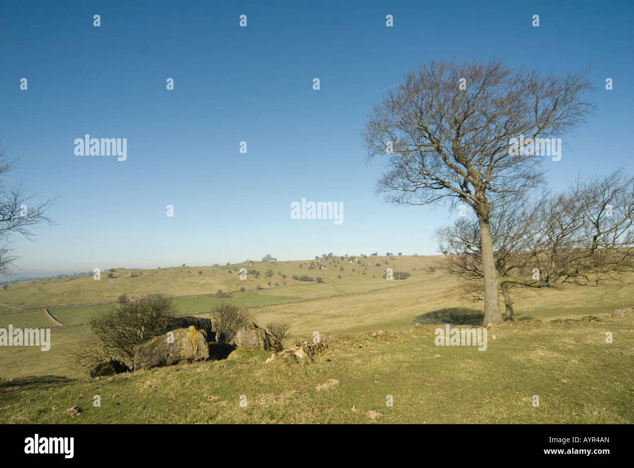 Beautiful scenic view tree hi-res stock photography and images - Alamy