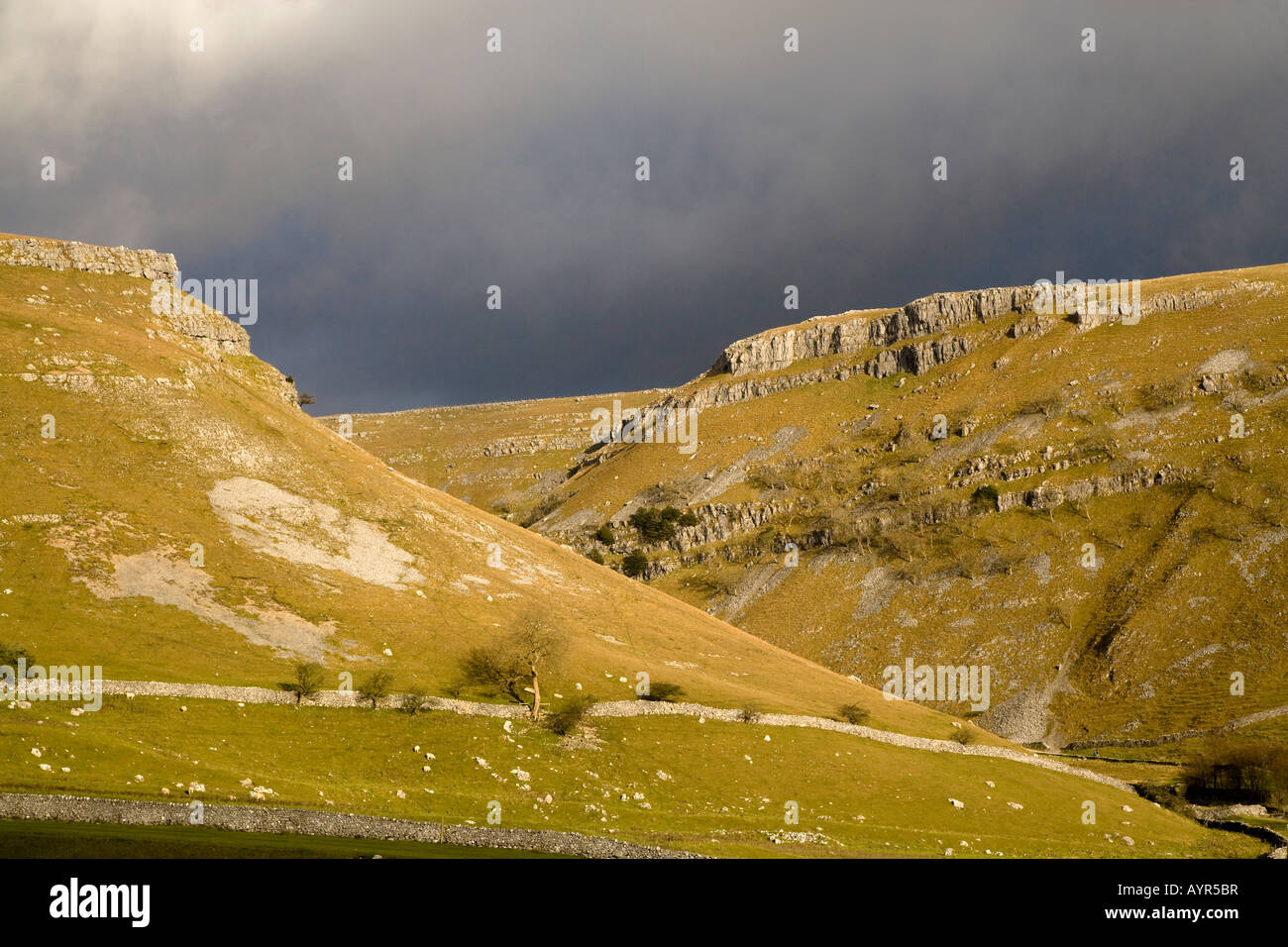 Goredale Scar Malhamdale Yorkshire Dales National Park England Stock Photo