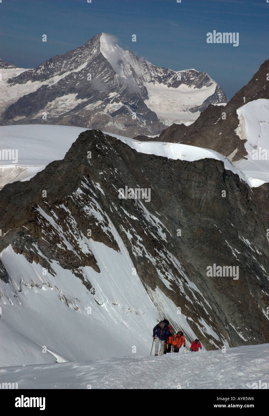 A roped party of four climbers ascending the Allalinhorn in the Swiss Valais Alps with the Obergabelhorn behind Stock Photo