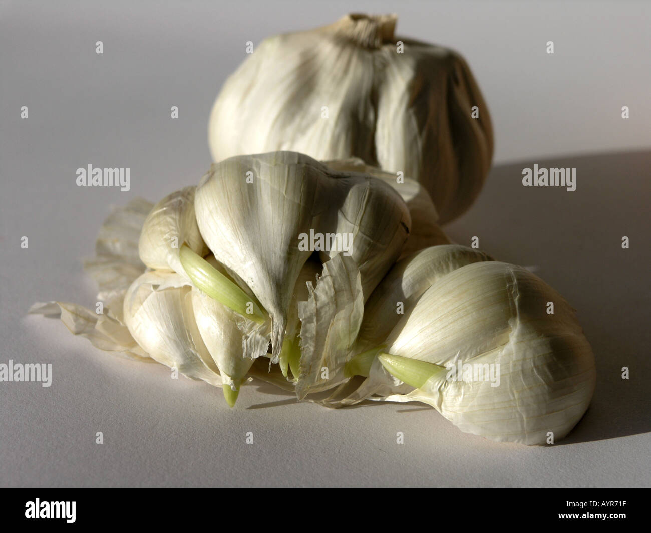 Peeled cloves fresh garlic hi-res stock photography and images - Alamy