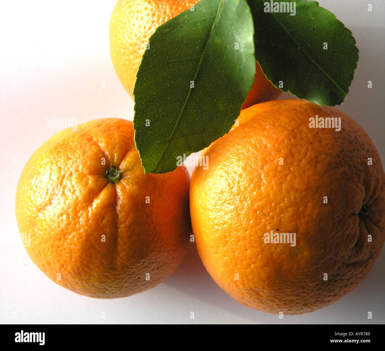 Three Oranges Stock Photo