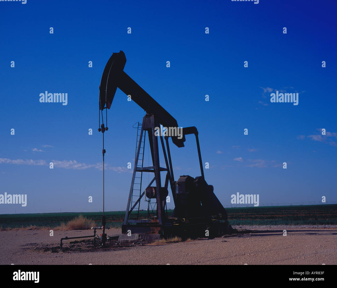 single pump jack in a Texas oil field USA. Photo by Willy Matheisl