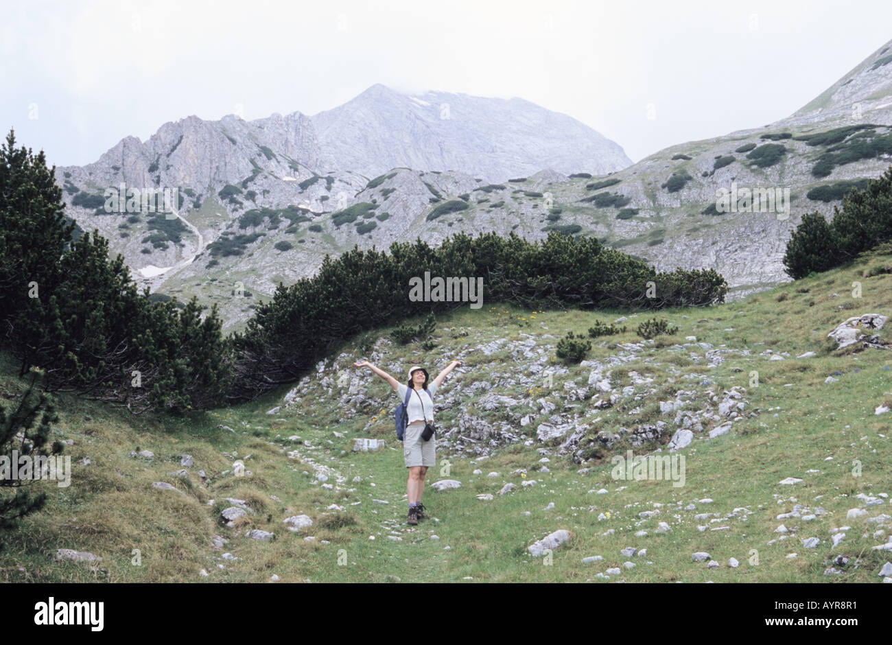 Wondering Pirin National Park in Bulgaria Stock Photo
