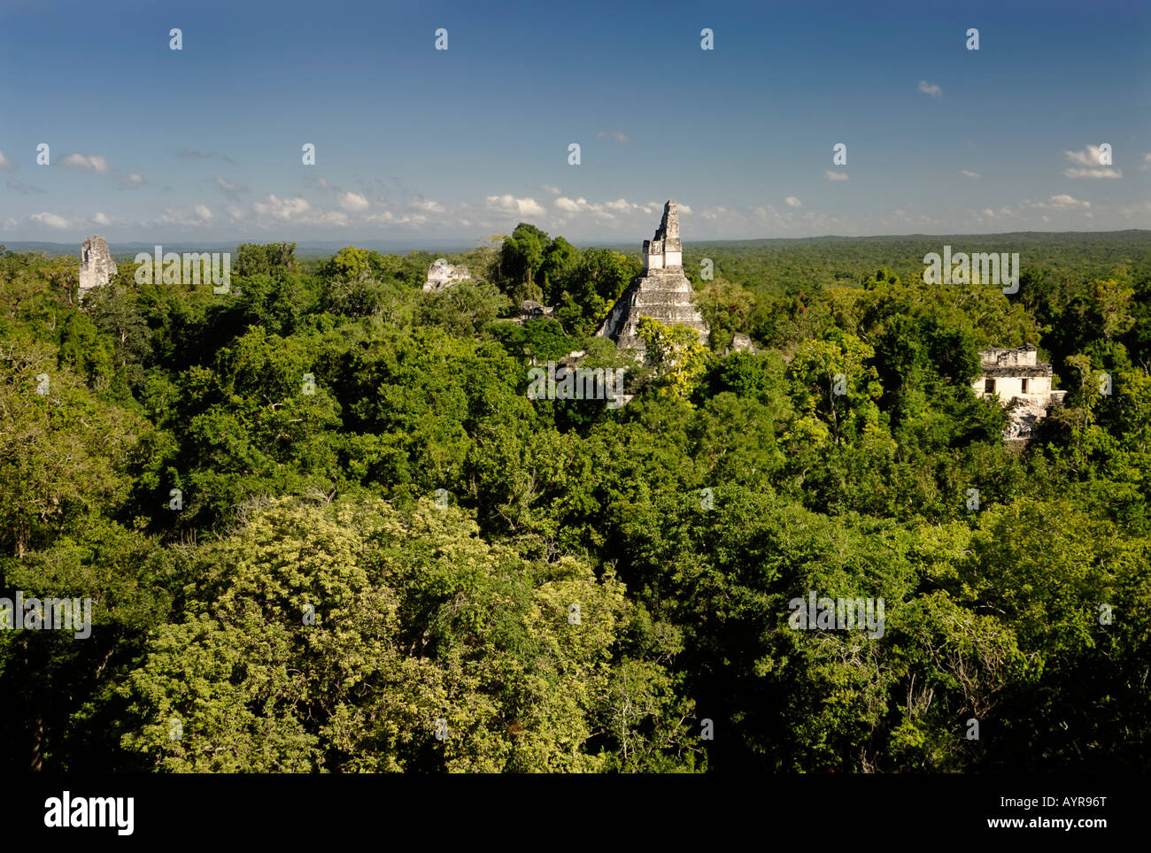 Mayan ruins of Tikal - View from Temple III to Temple I, Temple of the Giant Jaguar, and II, Yucatan, Guatemala, Central America Stock Photo