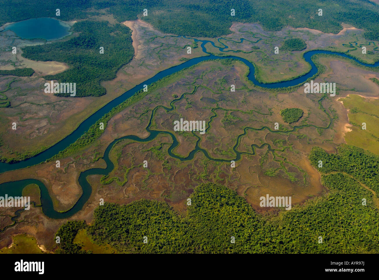 Aerial shot of a meandering river, Belize, Central America Stock Photo