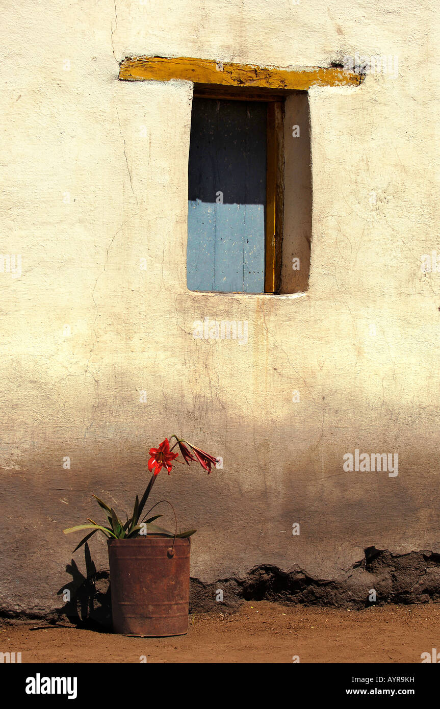 picture of an old ranch Stock Photo - Alamy