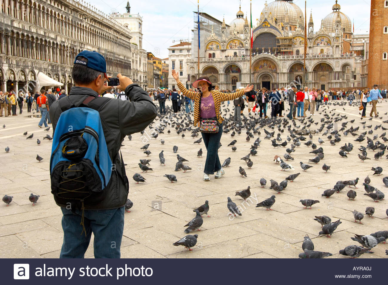 Tourists feeding pigeons in St Marks Square Venice Italy Stock Photo 17166689 Alamy