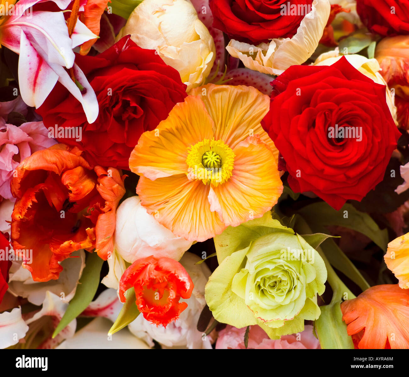 Colourful Bunch Of Flowers High Resolution Stock Photography And Images Alamy Colourful Bunch Of Flowers High Resolution Stock Photography And Images Alamy