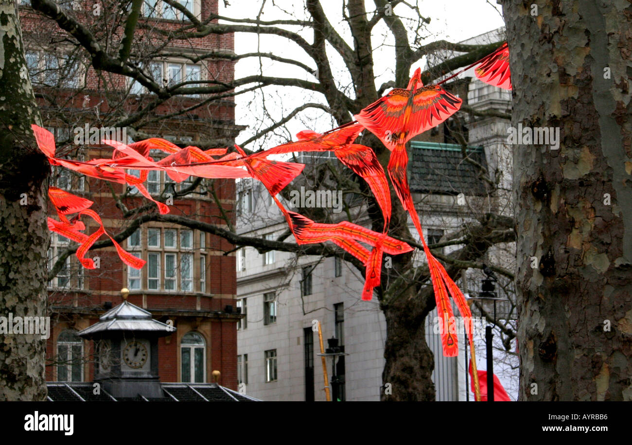 kite in London plane tree Stock Photo Alamy
