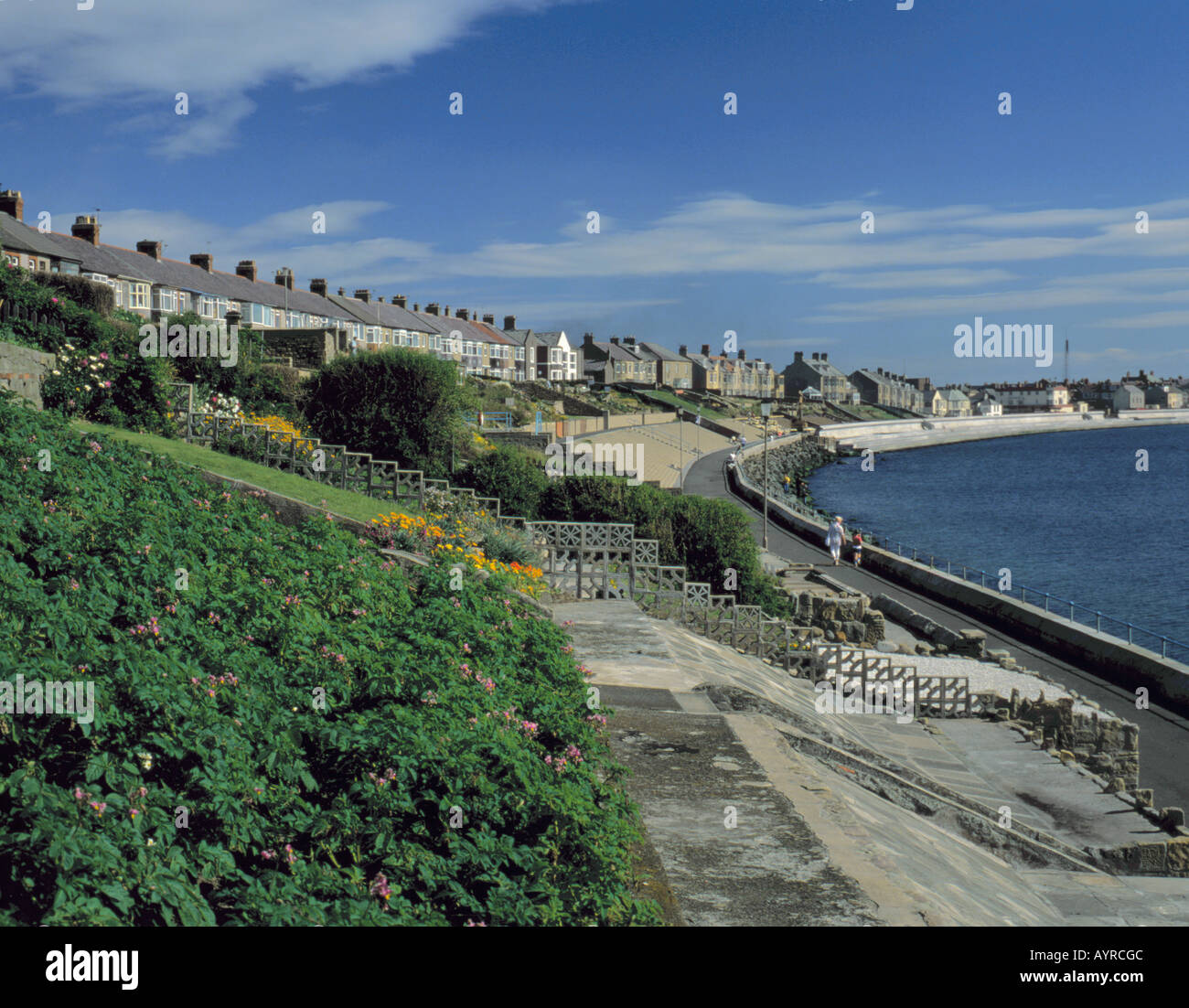Houses, gardens and promenade, Newbiggin-by-the-Sea, Northumberland, England, UK. Stock Photo