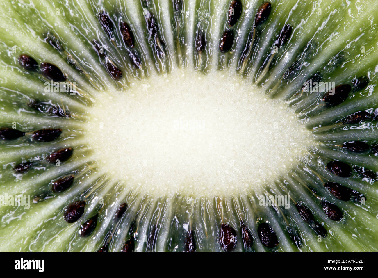 Close up slice kiwi hi-res stock photography and images - Alamy