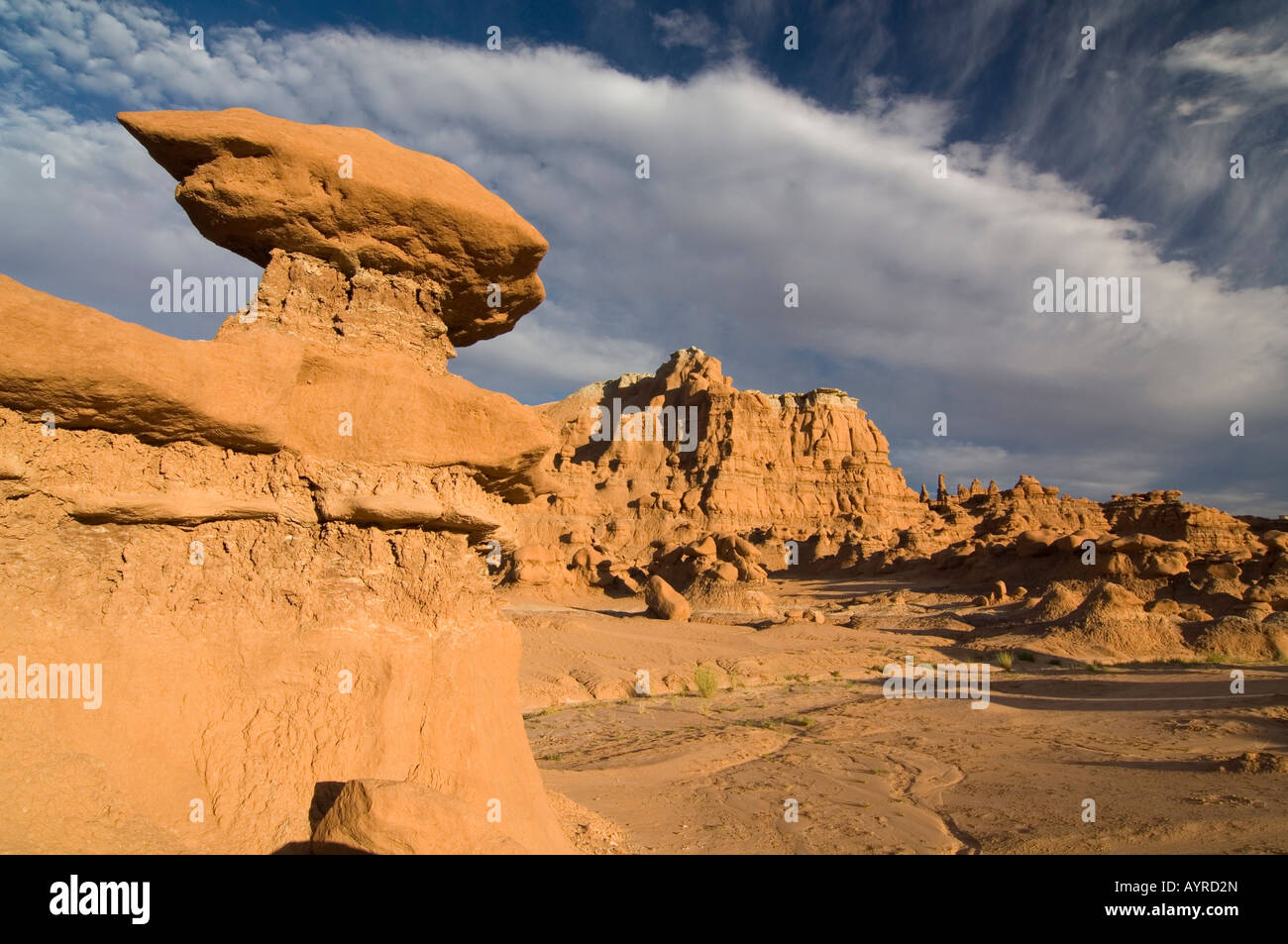 Sandstone formations in Goblin Valley State Park, Utah, USA Stock Photo