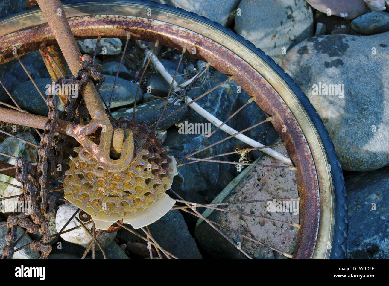 Underwater Rusted Bicycle Rims Flotsam and jetsam hi-res stock photography and images - Alamy