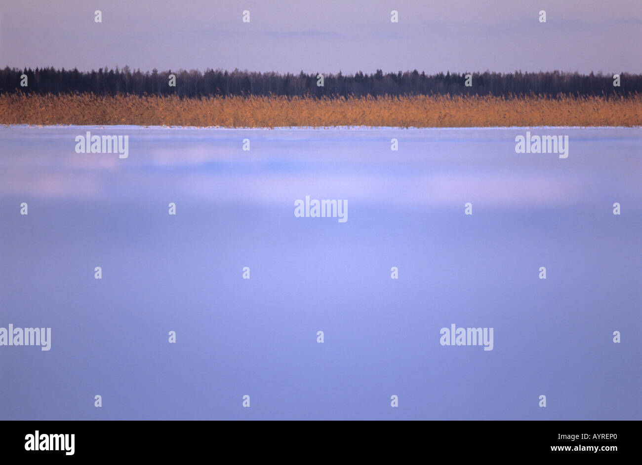 Scenic of frozen lake surface in wintertime Stock Photo - Alamy