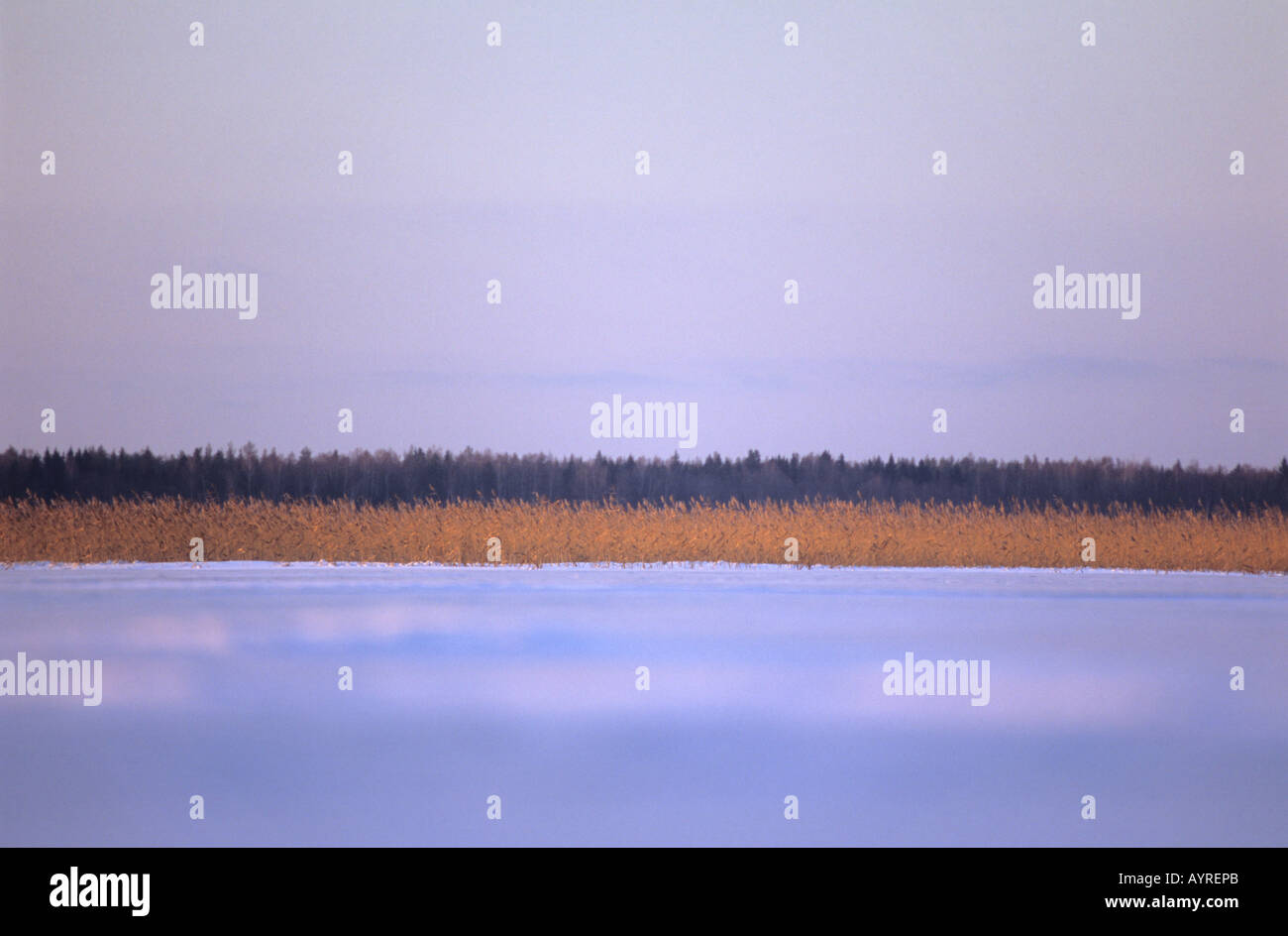 Scenic of frozen lake surface in wintertime Stock Photo - Alamy