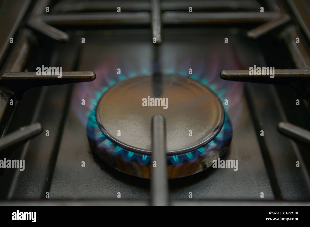 Flame from gas hob Stock Photo Alamy