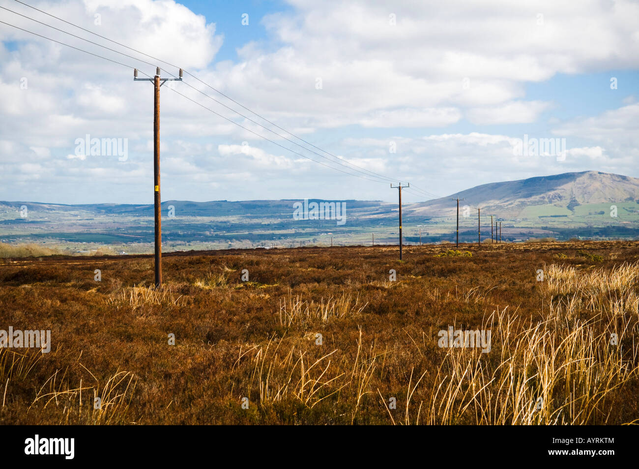 Power cables from Altahullion wind farm crossing a peat Bog in Northern