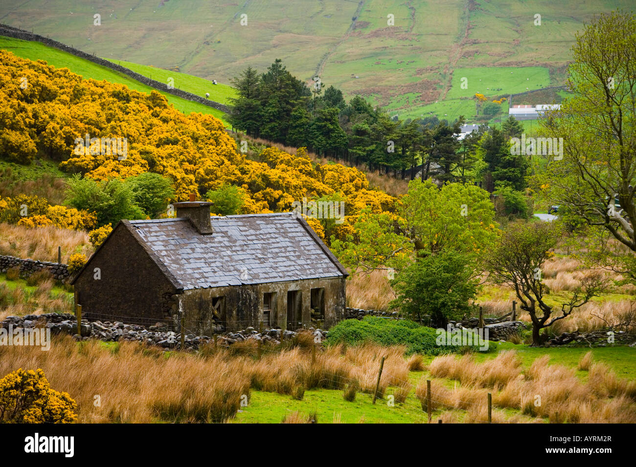 Abandoned farmhouse, County Mayo, Ireland Stock Photo