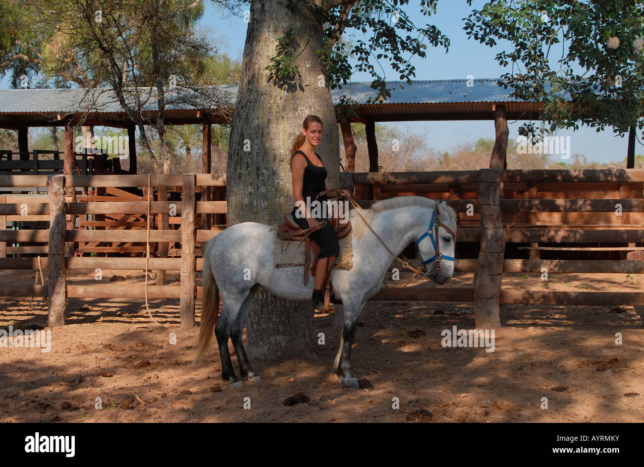 Young woman on a white horse at a corral on a Paraguayan farm, Gran Chaco, Paraguay, South America Stock Photo