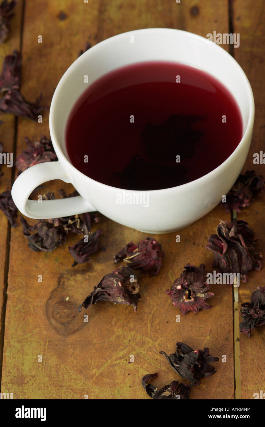 Red tea of dried cactus blossoms Stock Photo Alamy