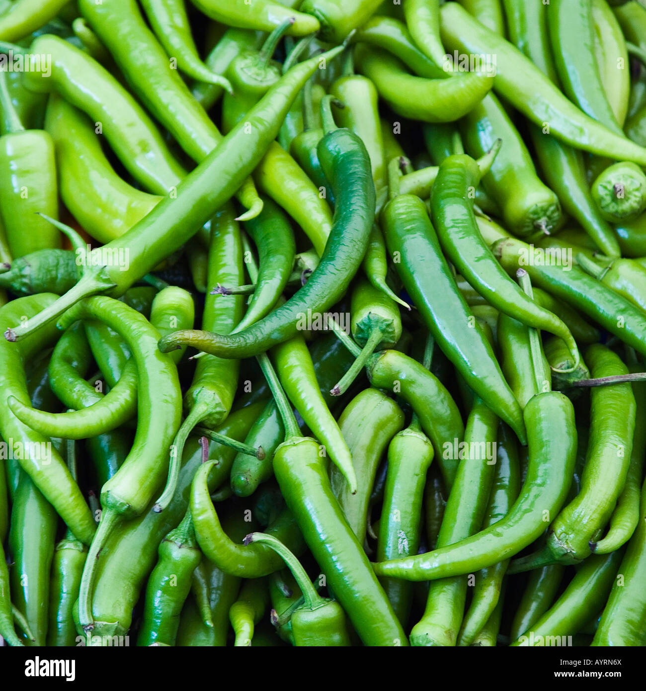 Green Chili Peppers (Capsicum Stock Photo Alamy