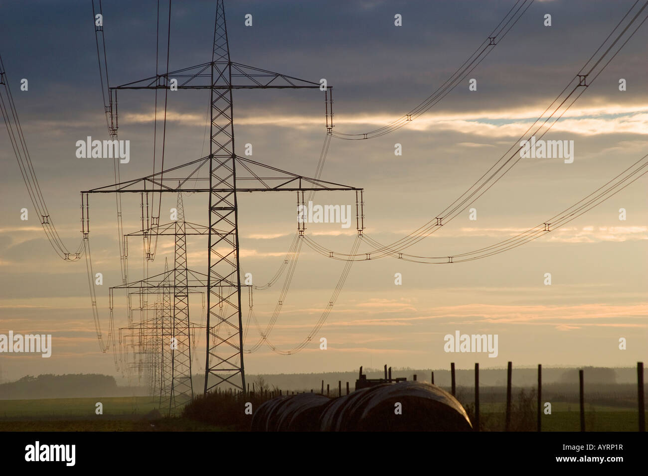 Transmission lines, Ketzin, Brandenburg, Germany, Europe Stock Photo
