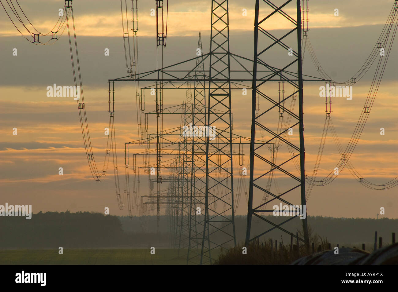Transmission lines, Ketzin, Brandenburg, Germany, Europe Stock Photo
