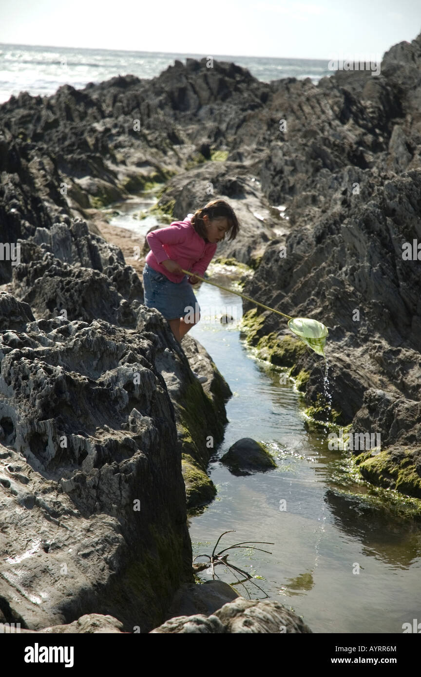 Boy fishing in rock pool hi-res stock photography and images - Alamy