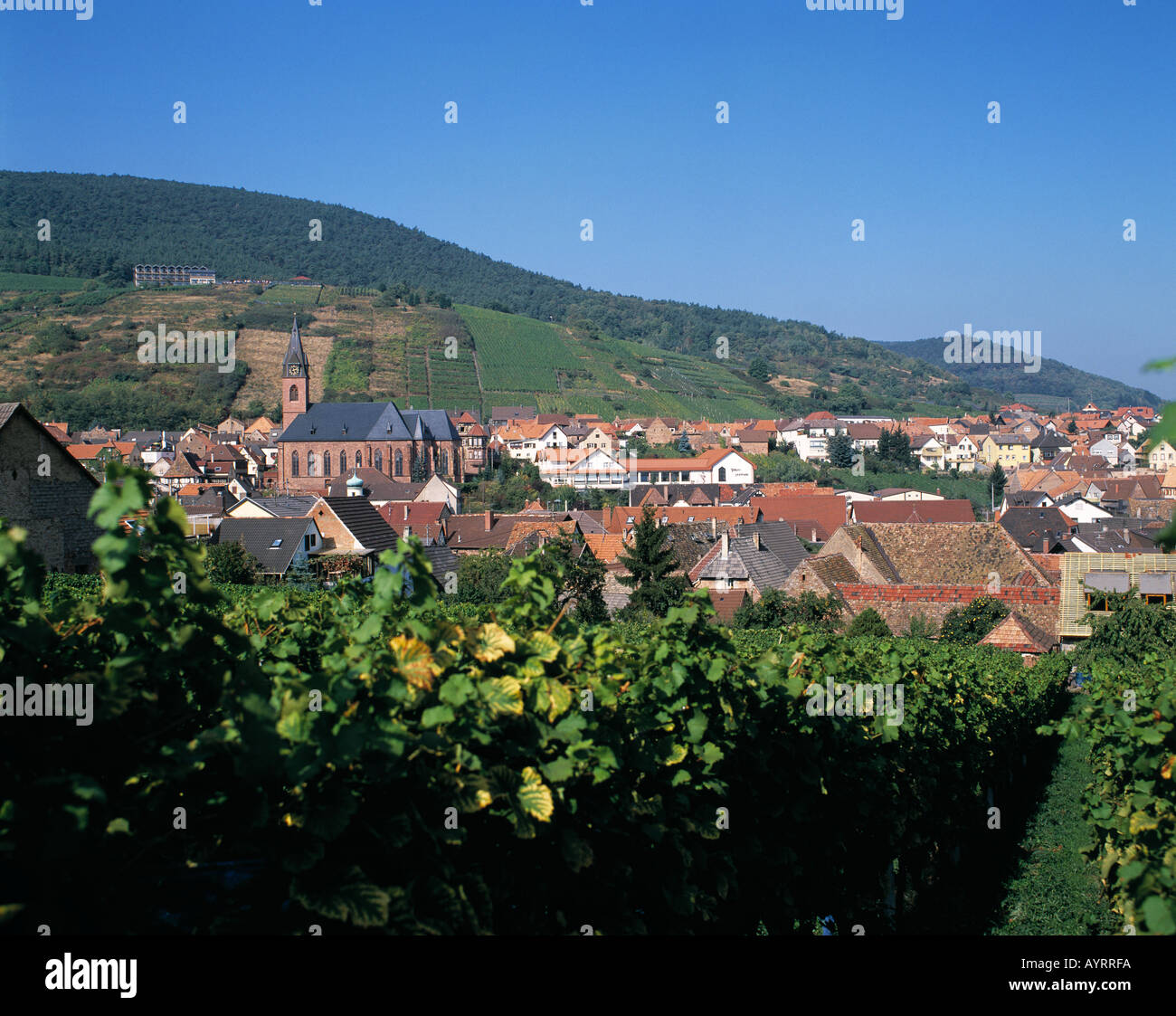 Stadtpanorama vom Weinort St. Martin inmitten von Weinbergen, Deutsche Weinstrasse, Naturpark Pfaelzerwald, Rheinland-Pfalz Stock Photo
