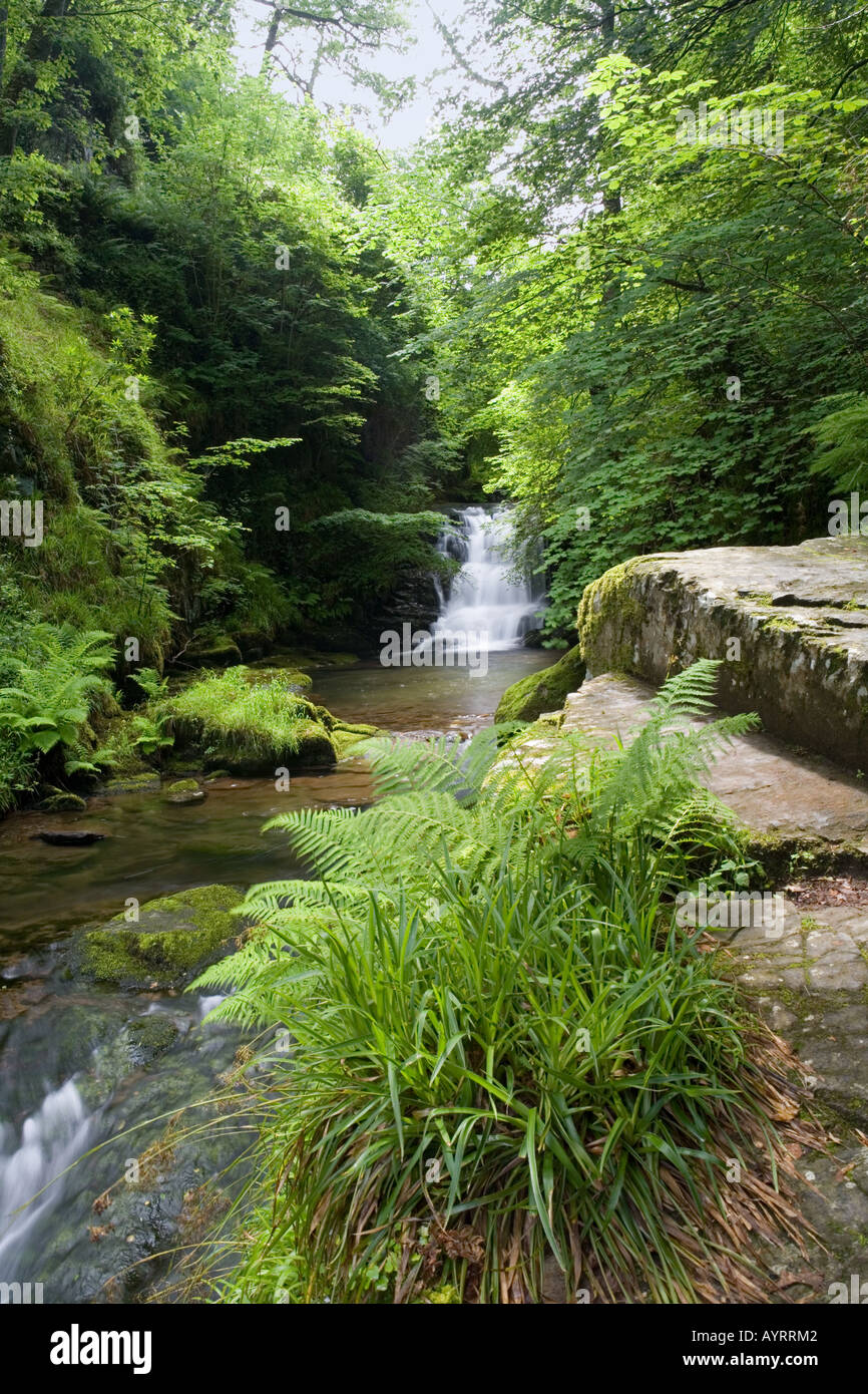 The waterfall on Hoar Oak Water just before it flows into the East Lyn River at Watersmeet near Lynmouth, Exmoor, Devon Stock Photo