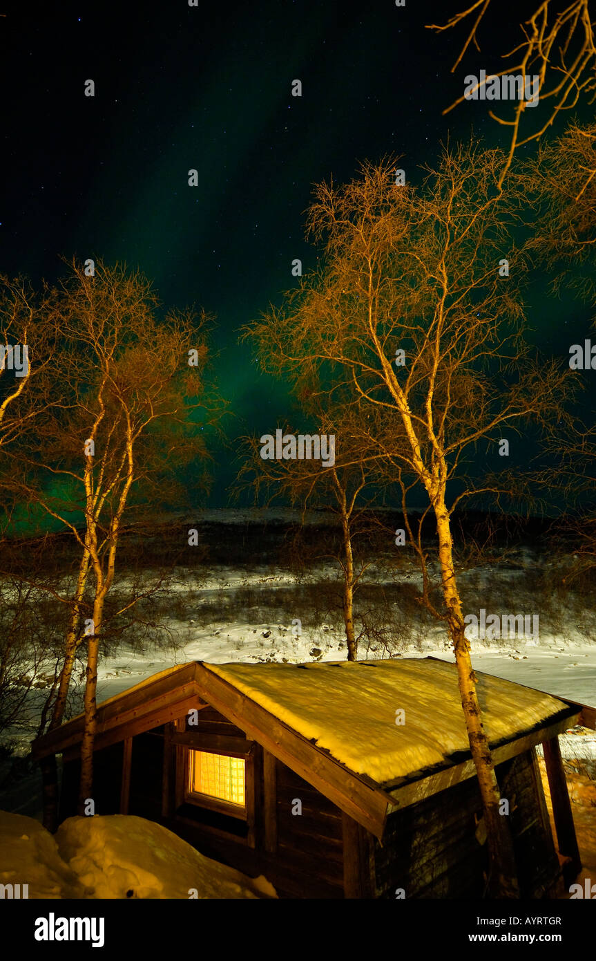 Northern lights (Aurora borealis) behind log cabin and trees, Finnmark, Norway, Scandinavia Stock Photo