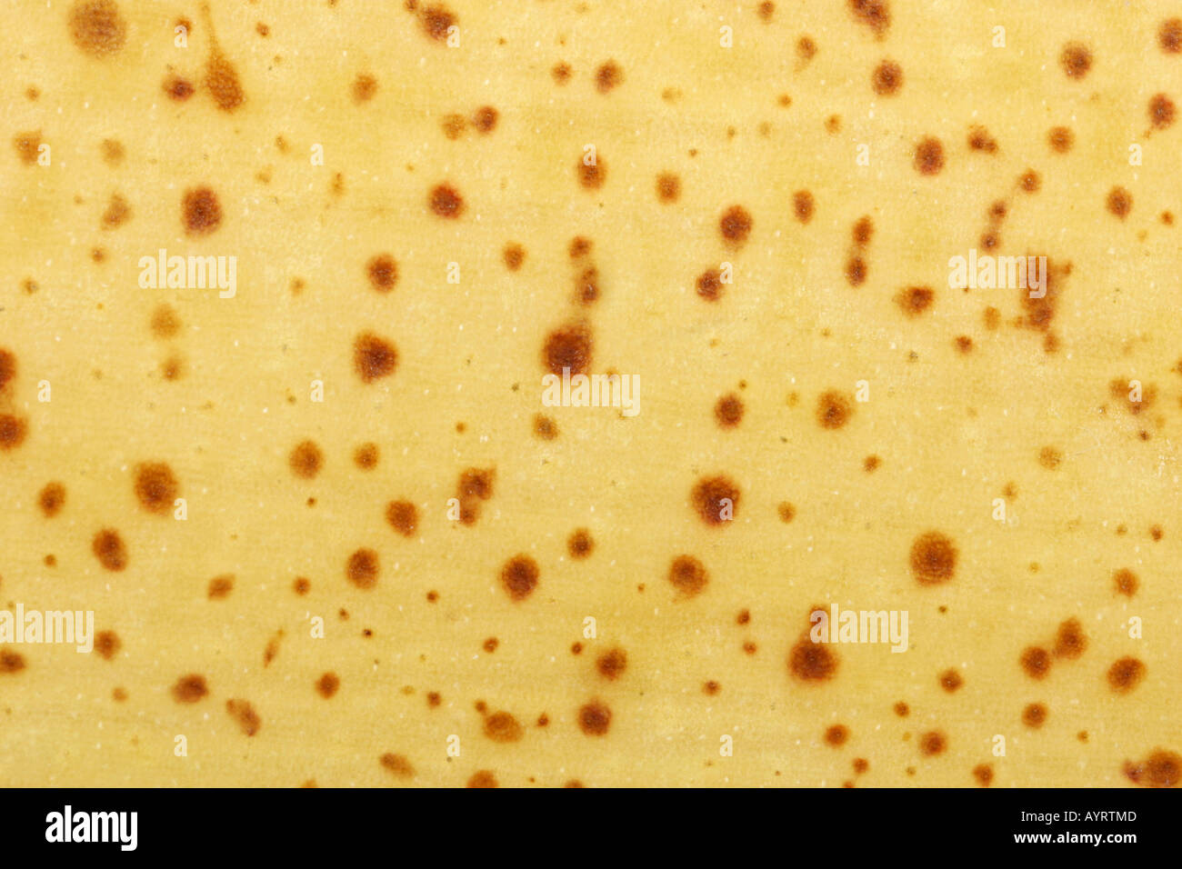 Green Spots On Banana Peel