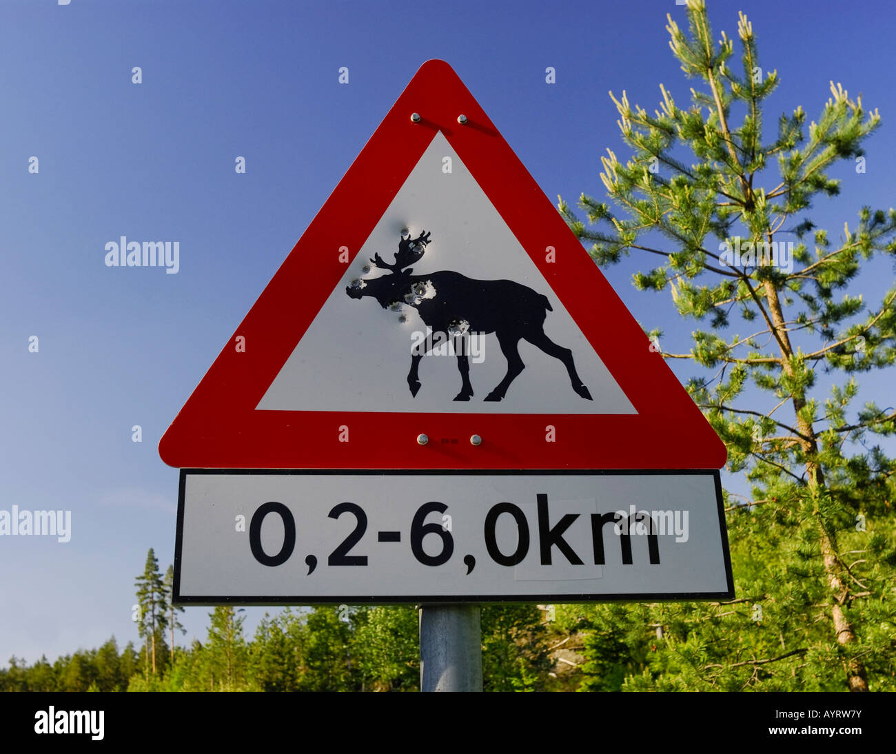 Bullet holes through an elk (moose) crossing sign Stock Photo