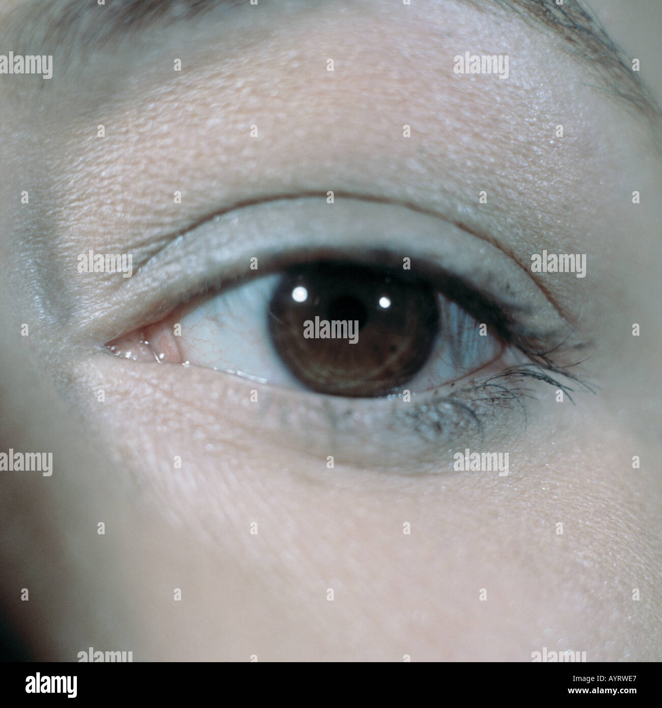 Maedchen, Gesichtspartie, Teilansicht, Auge, Augenpartie, braune Augen, Monika Stock Photo