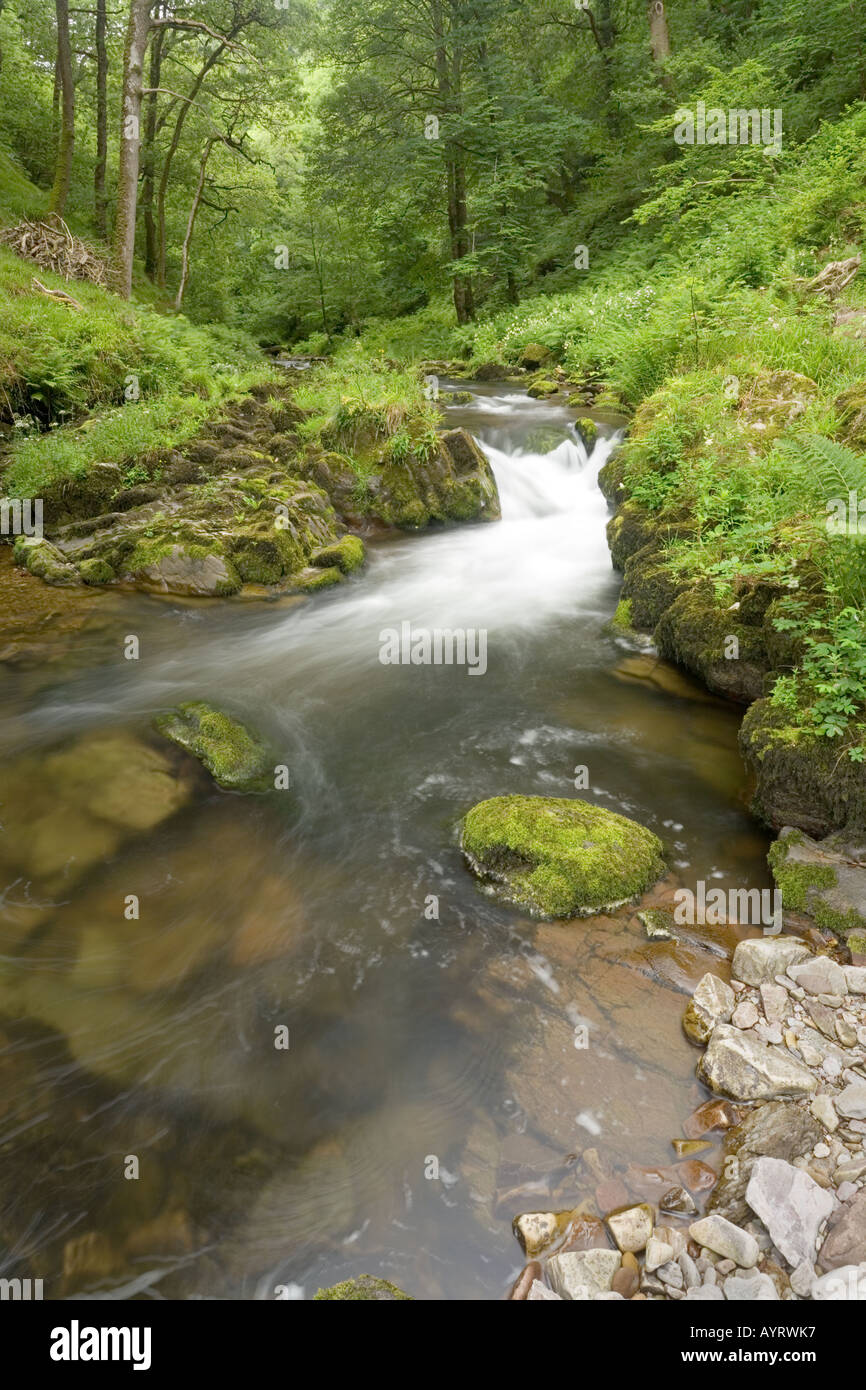 The waterfall on the East Lyn River just before it flows into Hoar Oak Water at Watersmeet near Lynmouth, Exmoor, Devon Stock Photo
