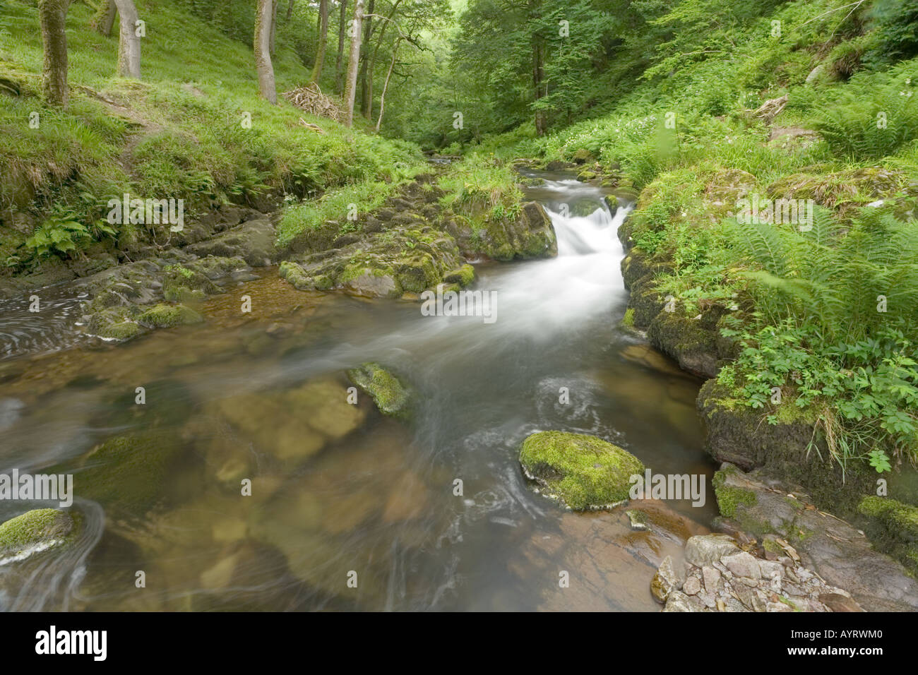 The waterfall on the East Lyn River just before it flows into Hoar Oak Water at Watersmeet near Lynmouth, Exmoor, Devon Stock Photo