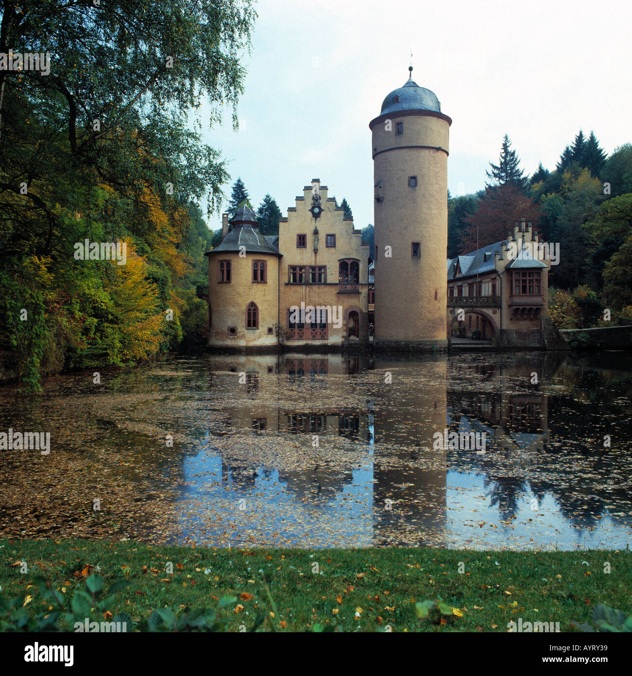 Wasserschloss Mespelbrunn, Herbstlaub auf dem Wasser, Mespelbrunn, Naturpark Bayerischer Spessart, Unterfranken, Bayern Stock Photo