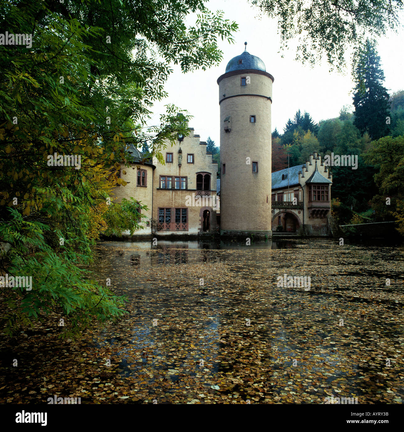 Wasserschloss Mespelbrunn, Herbstlaub auf dem Wasser, Mespelbrunn, Naturpark Bayerischer Spessart, Unterfranken, Bayern Stock Photo