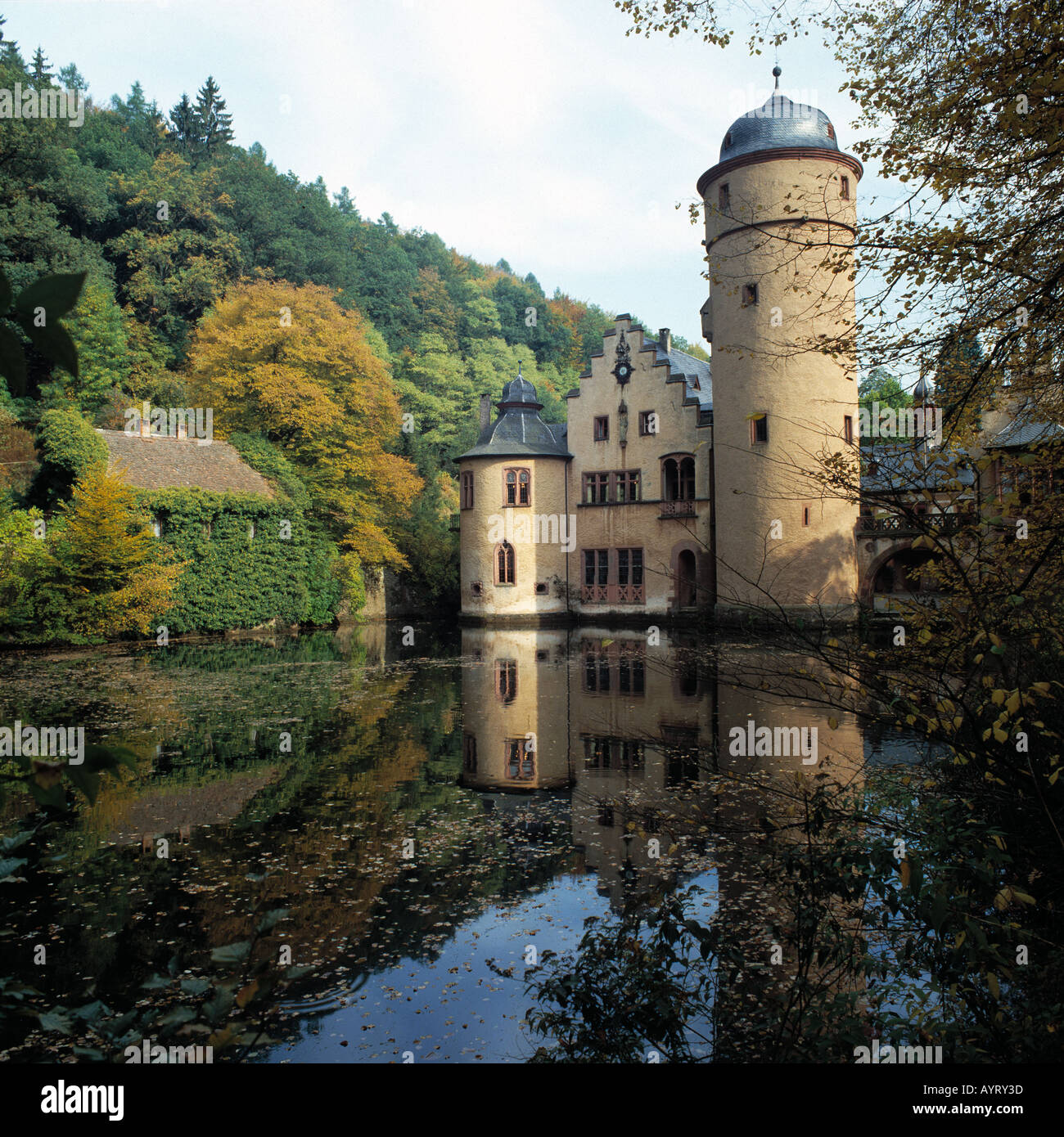 Wasserschloss Mespelbrunn, Herbstlaub auf dem Wasser, Mespelbrunn, Naturpark Bayerischer Spessart, Unterfranken, Bayern Stock Photo