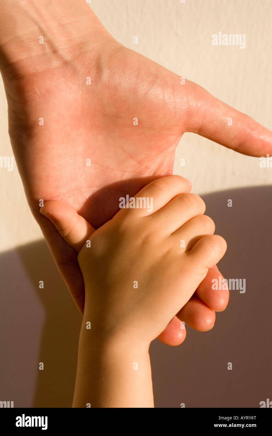 Adult's and child's hands Stock Photo