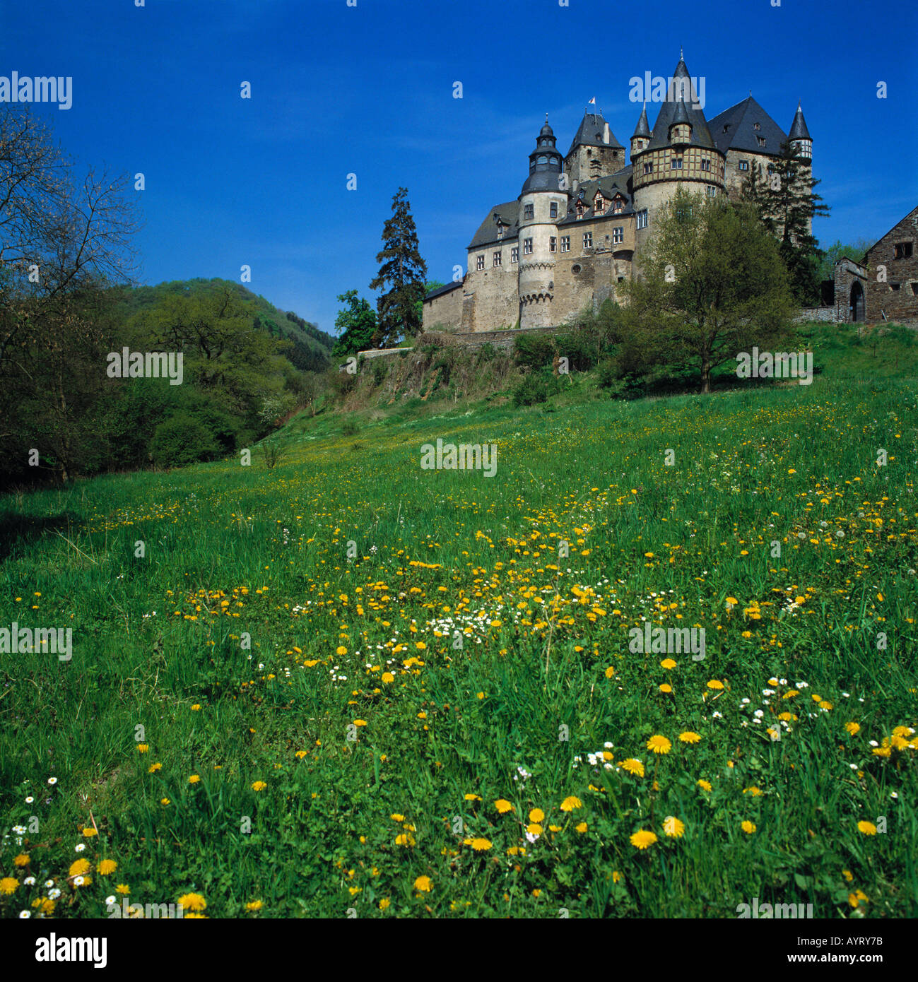 Schloss Buerresheim hinter einer Fruehlingswiese, Mayen Eifel, Rheinland-Pfalz Stock Photo