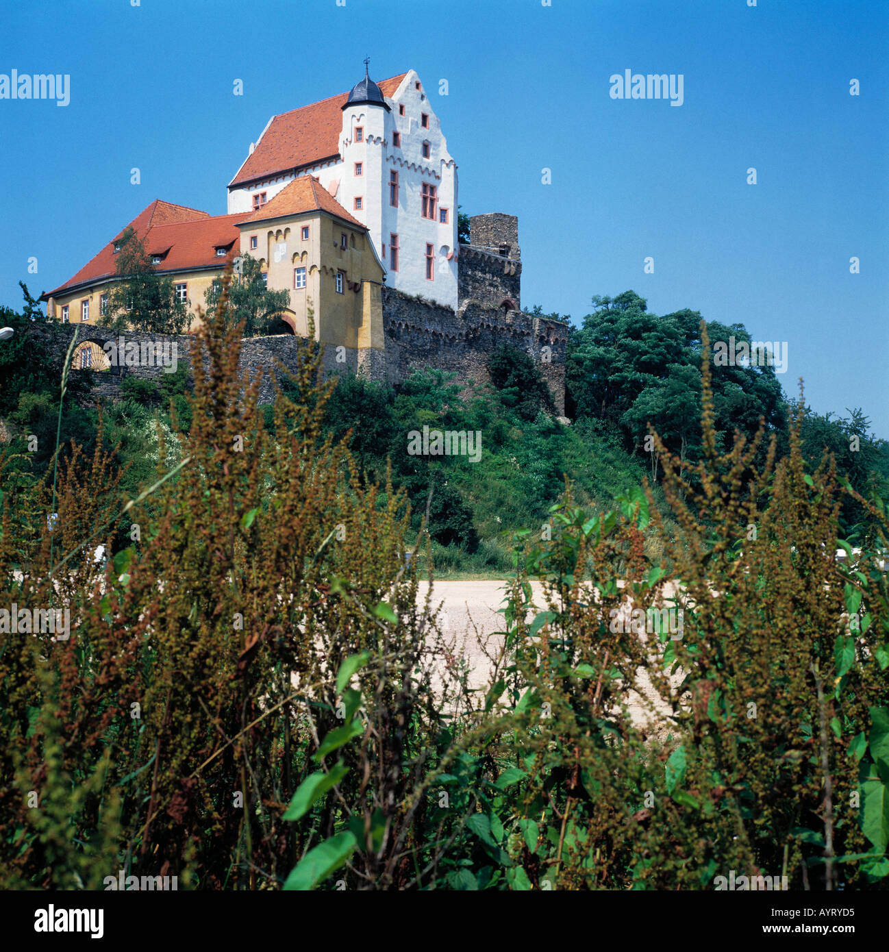 Burg in Alzenau, Spessart, Naturpark Bayerischer Spessart, Unterfranken, Bayern Stock Photo