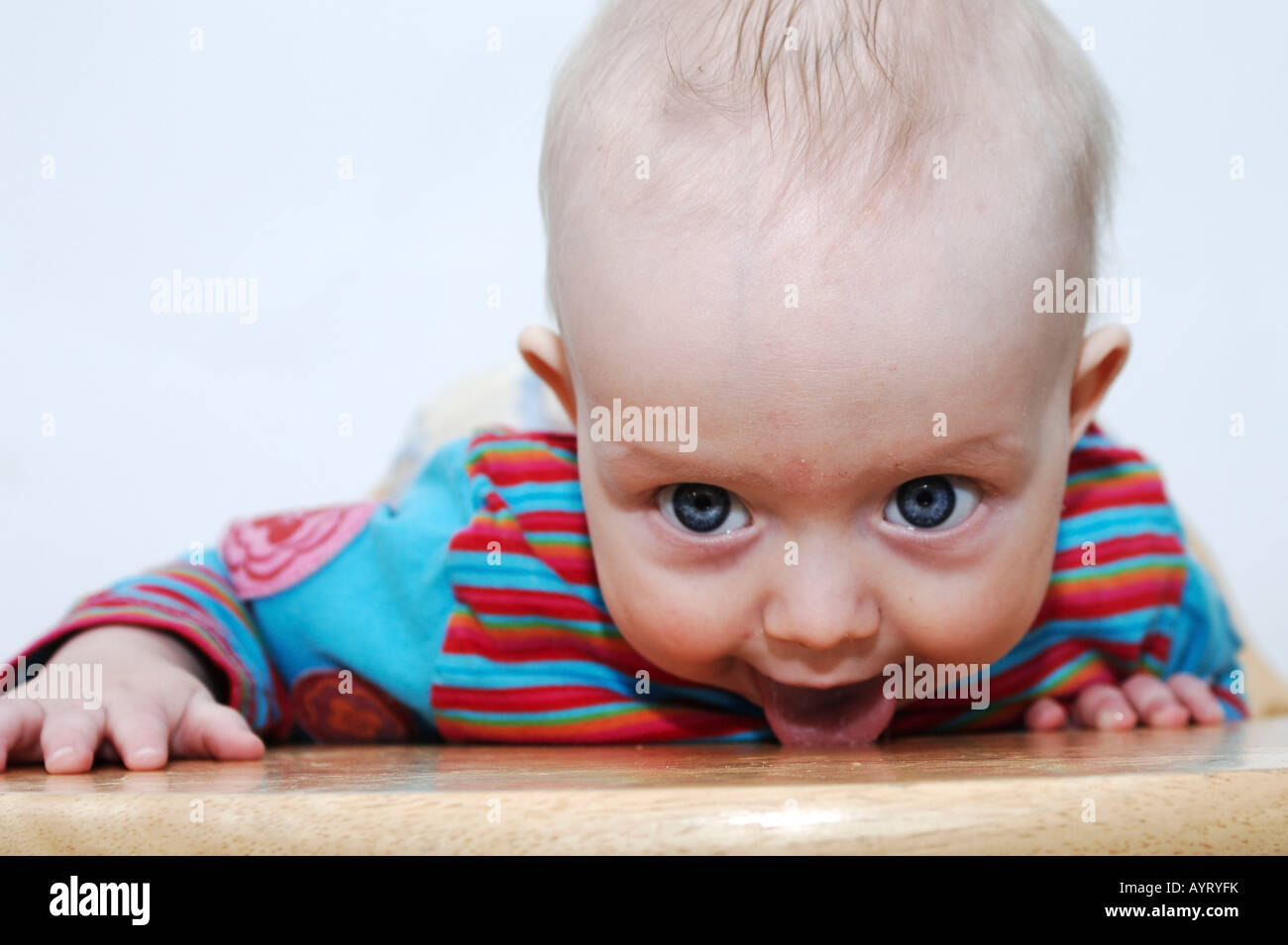 Six month old baby boy licking his chair after eating Stock Photo Alamy