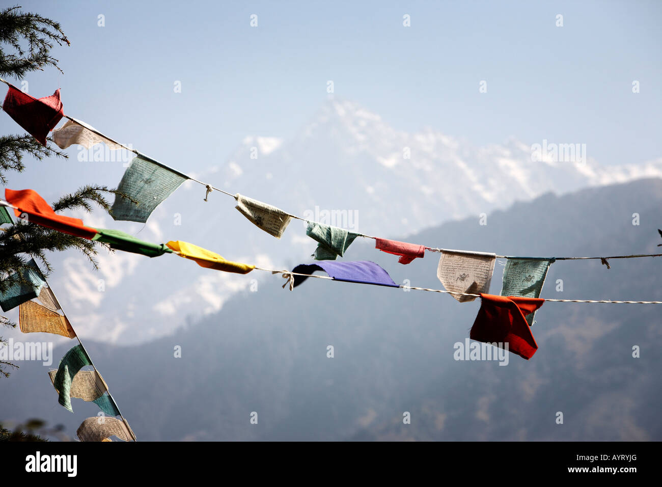 Colorful Tibetan prayer flags flap in the breeze with the Himalayan Mountains in the background Stock Photo