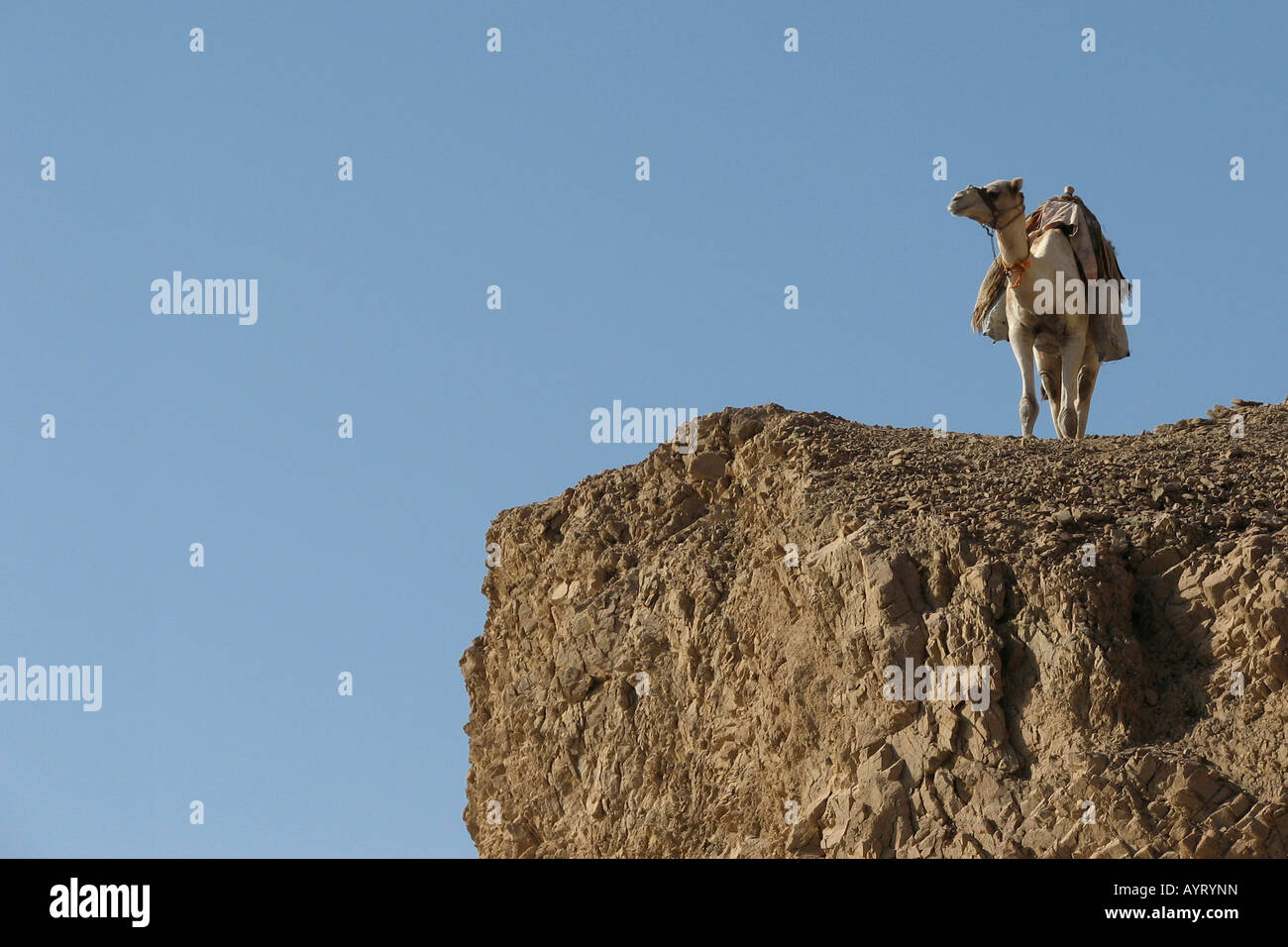 Farbfotografie High Resolution Stock Photography And Images Alamy