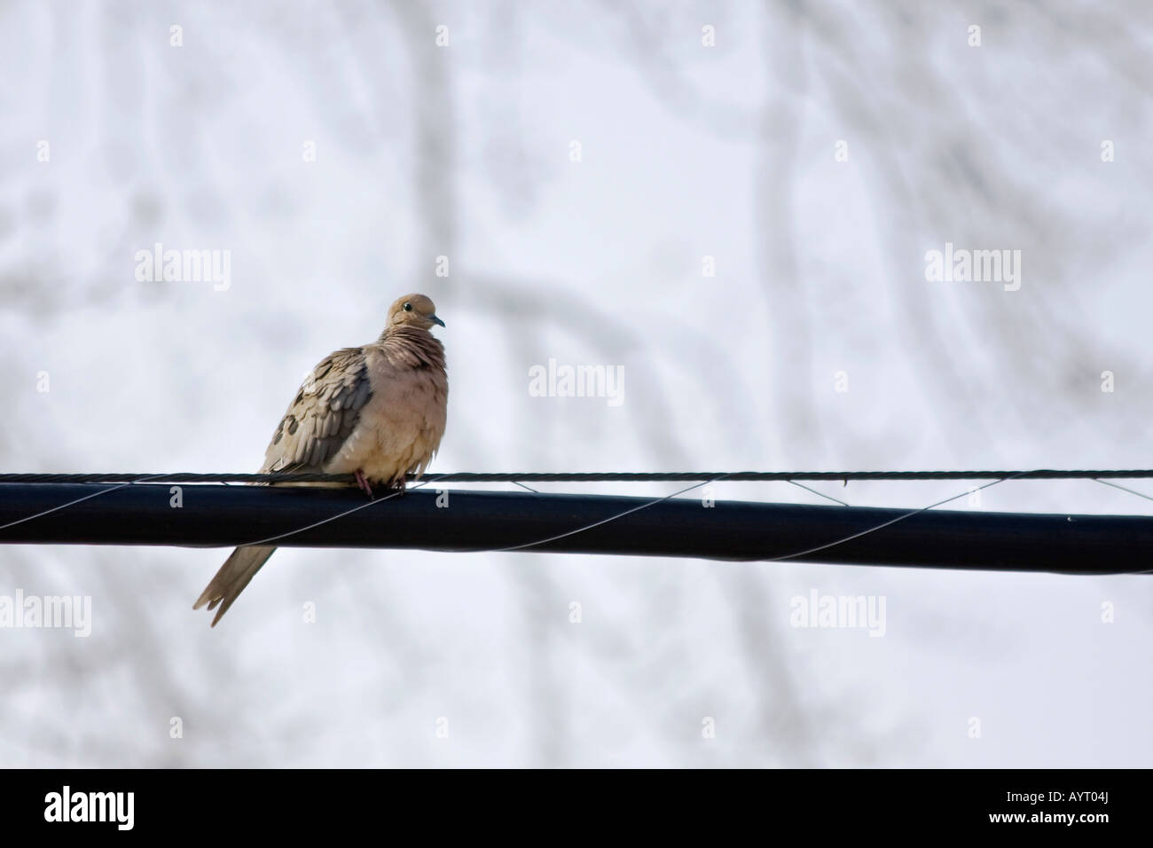 Telephone hi res hi-res stock photography and images - Alamy