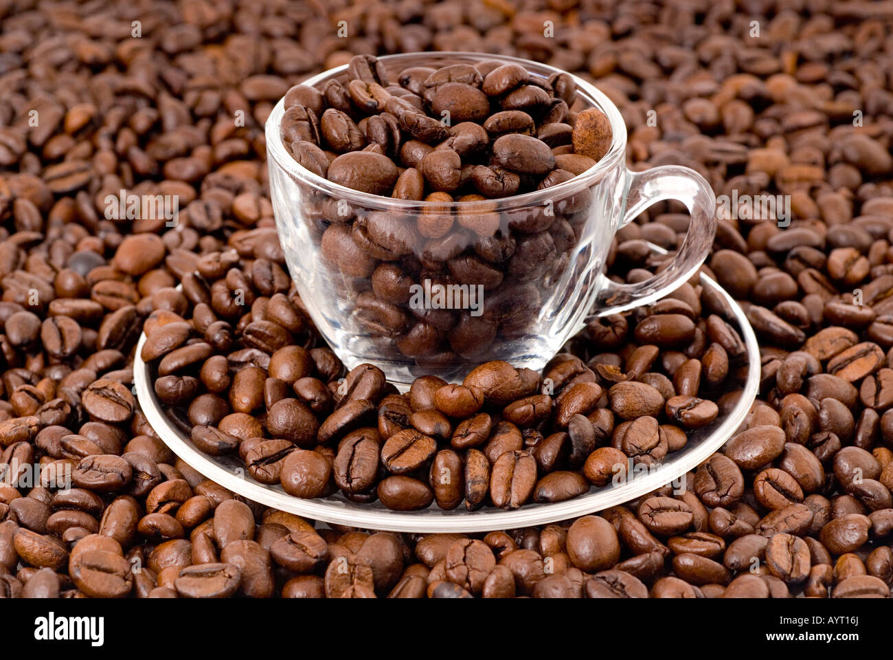 Coffee beans in a glass espresso cup Stock Photo