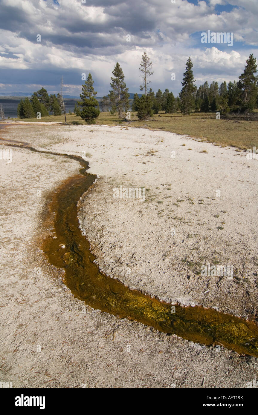 Water flowing from a hot spring, West Thumb Geyser Basin, Yellowstone ...