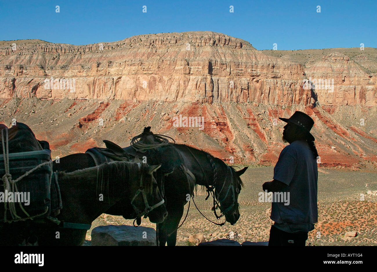 Native American cowboy with his pack mule and supplies Stock Photo Alamy