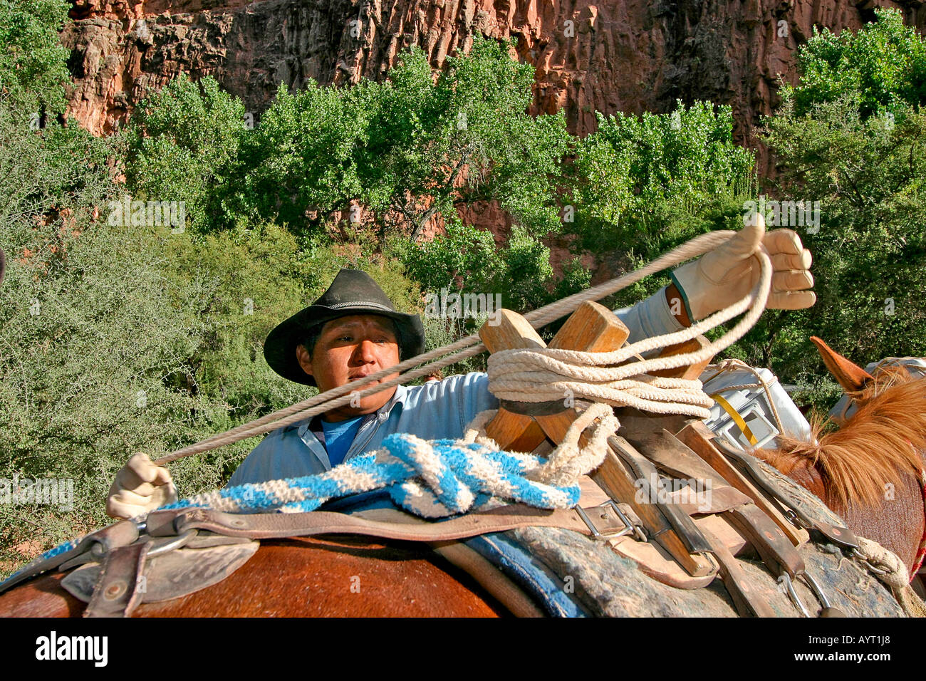 Havasupai Native American horse packer loads up horse in Havasupai